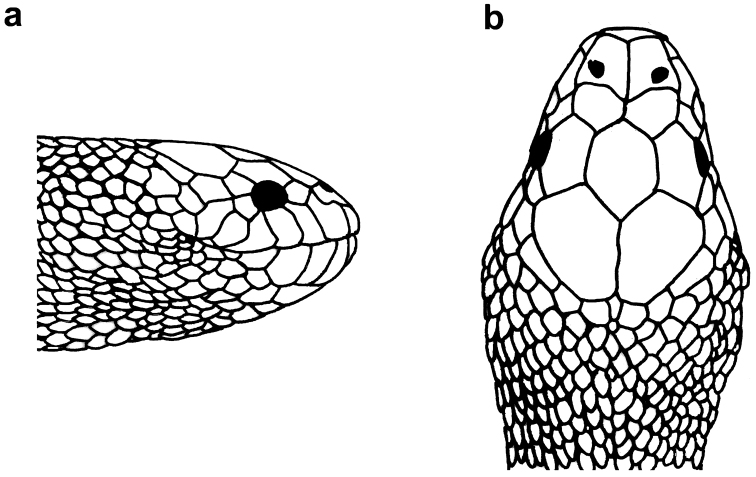 Figure 16.