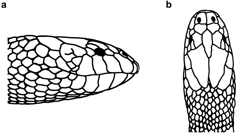 Figure 14.