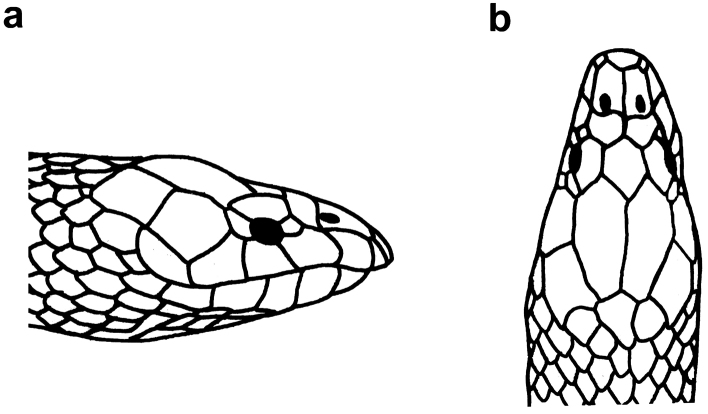 Figure 25.