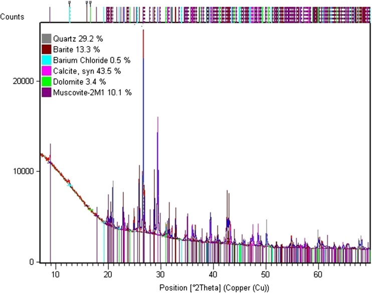 Fig. 6