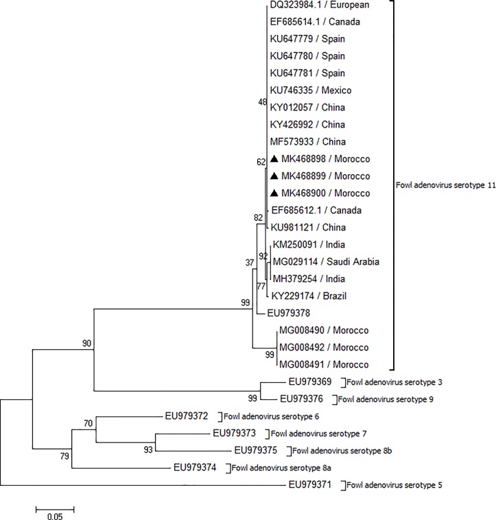 Fig 6