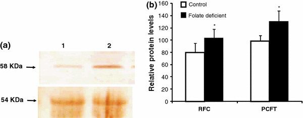 Fig. 7