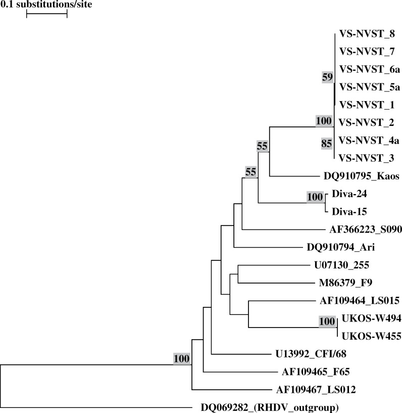 Fig 3.