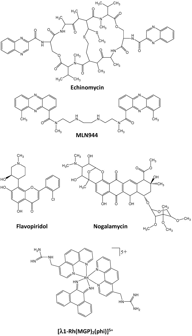 Figure 7