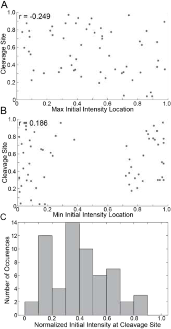 Figure 5: