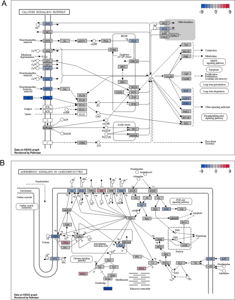 Fig. 4