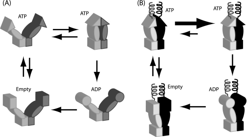 FIGURE 7.