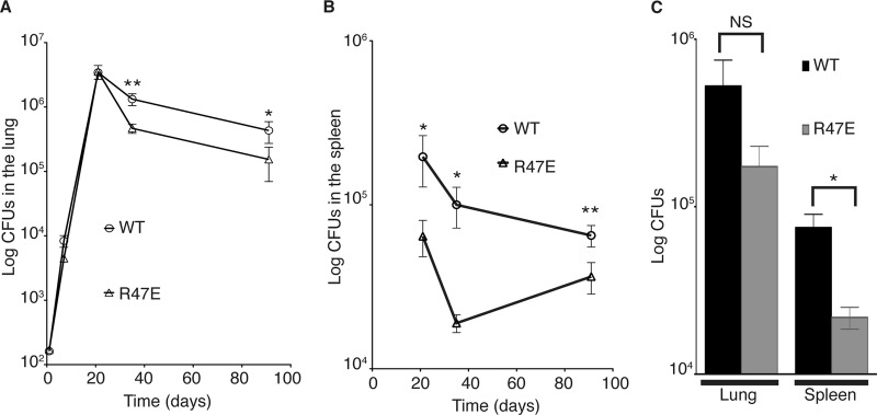 Fig 4