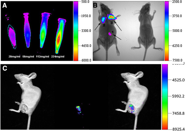 Figure 6