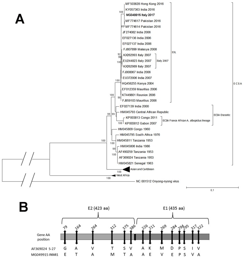 Fig 4