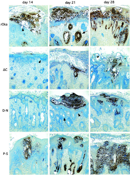 FIG.4.