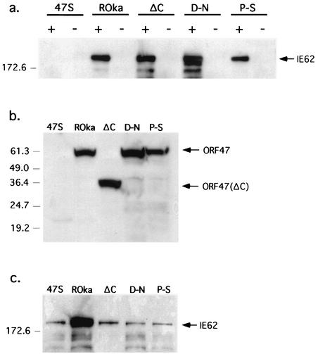 FIG. 6.