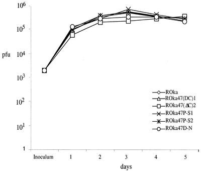 FIG. 2.