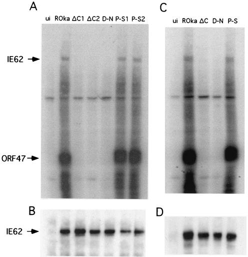 FIG. 7.