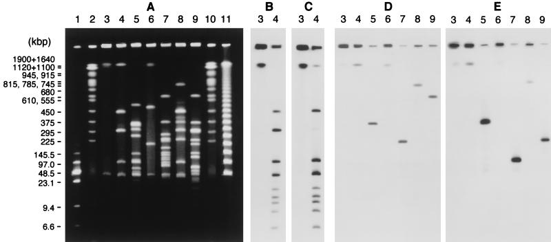 FIG. 6