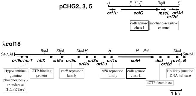 FIG. 7