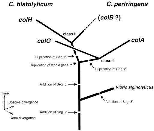 FIG. 8