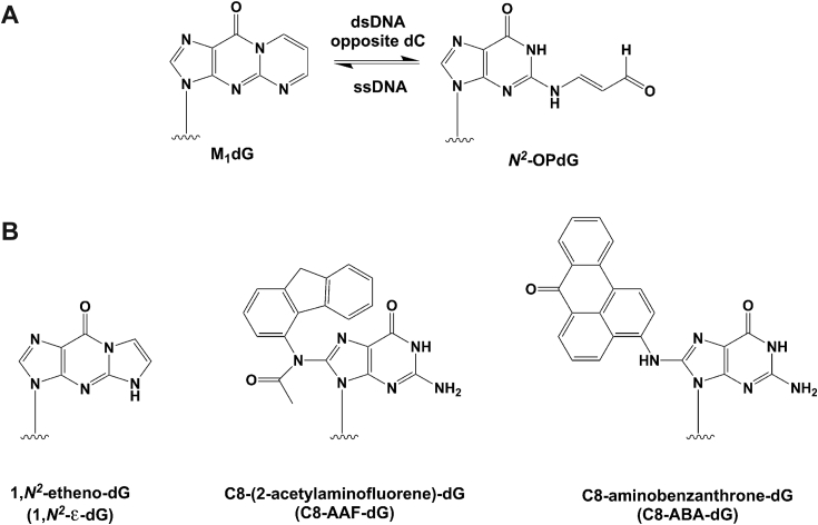 Figure 9