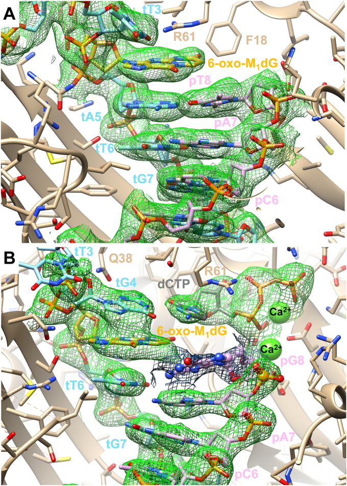 Figure 6