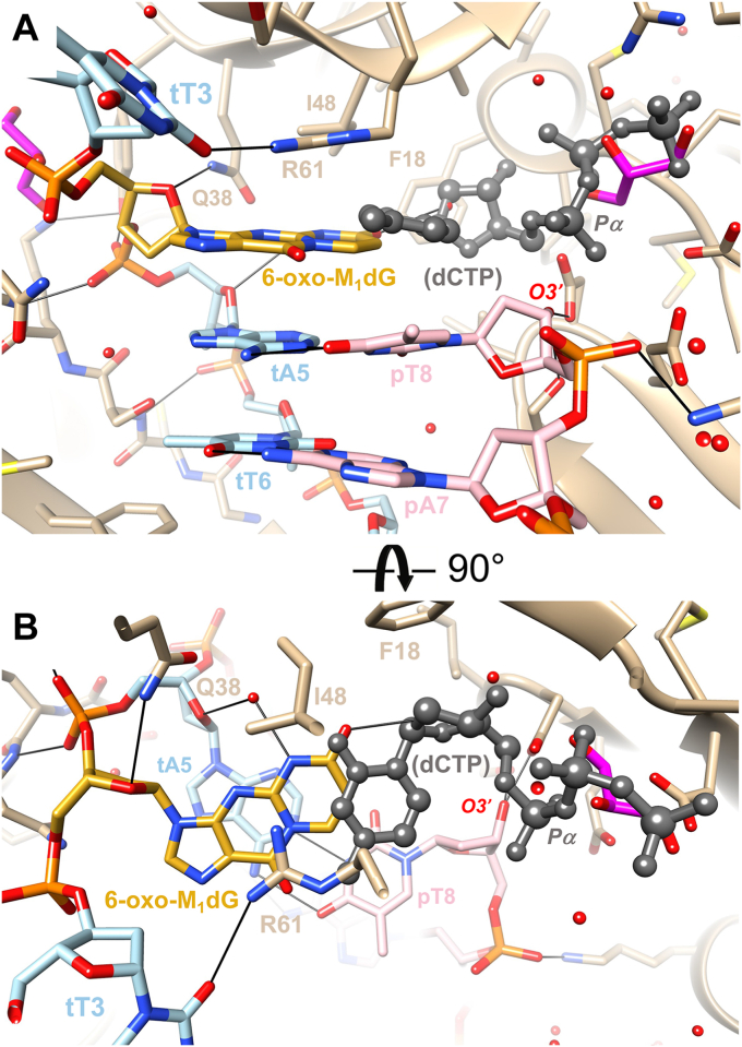 Figure 7