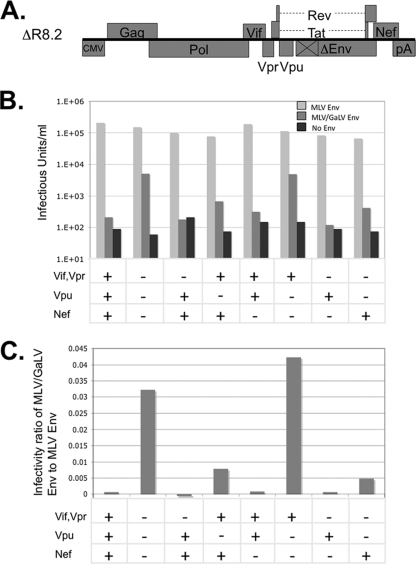 FIG. 3.