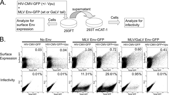 FIG. 6.