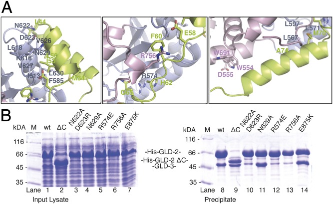 Fig. 3.