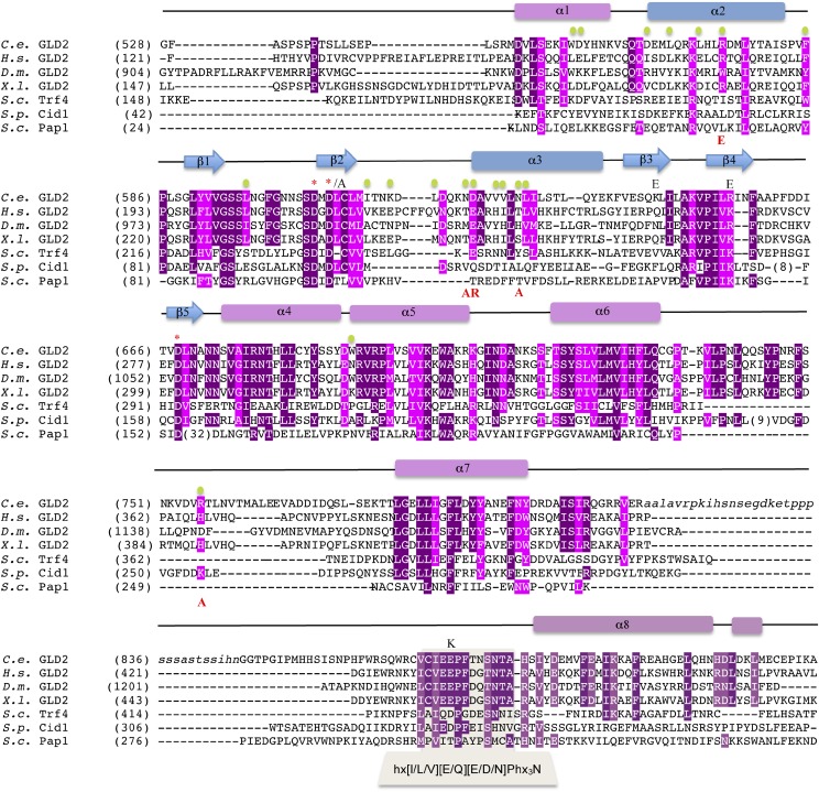 Fig. S3.