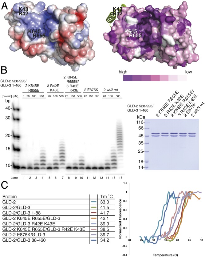 Fig. 4.