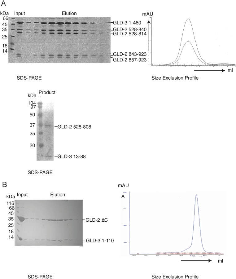 Fig. S1.