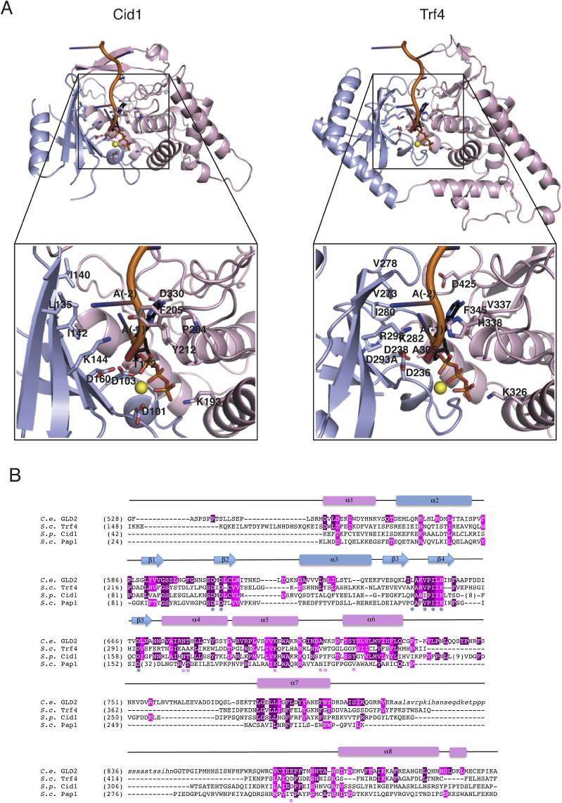 Fig. S5.