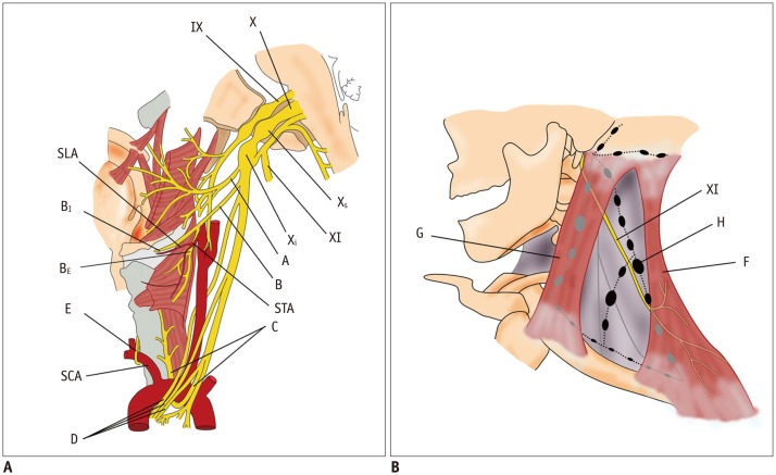 Fig. 14