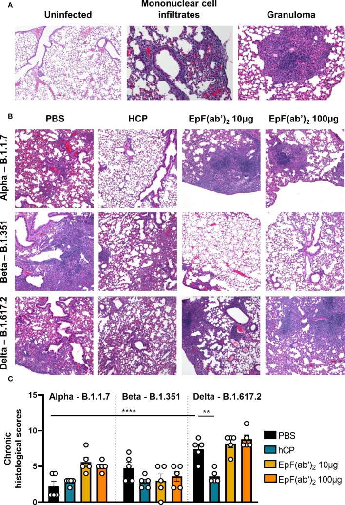 Figure 6