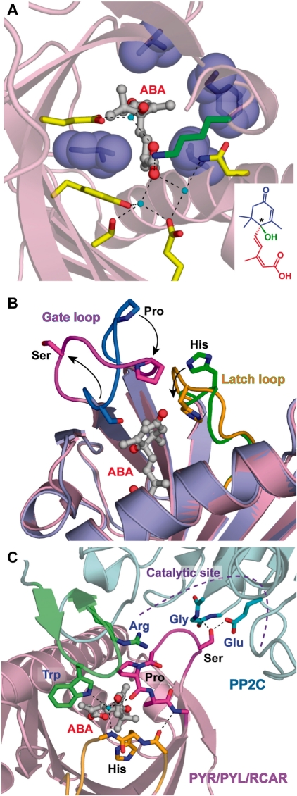 Fig. 4