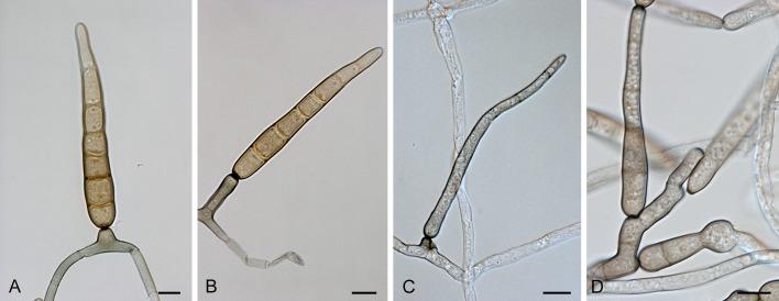 Fig. 16.