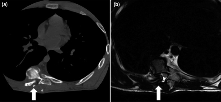 Fig. 2: