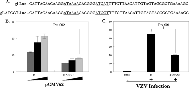 FIG. 3.