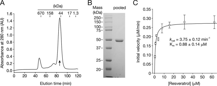 FIGURE 4.