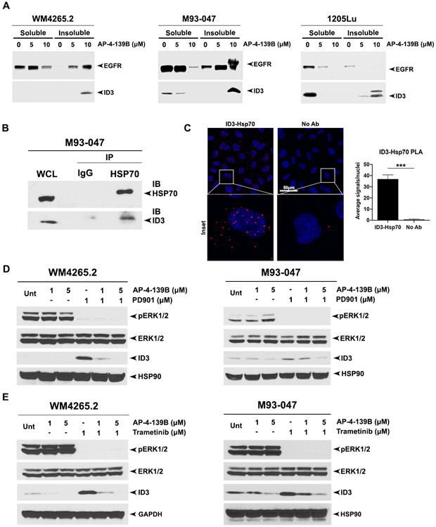 Figure 4: