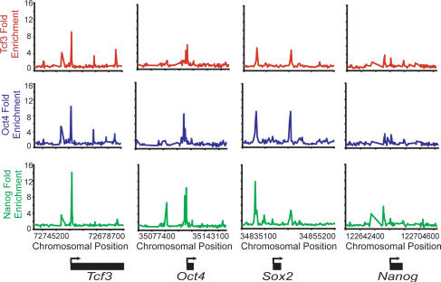 Figure 2.