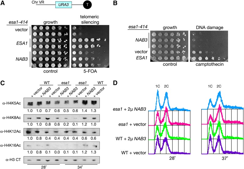 Figure 3 