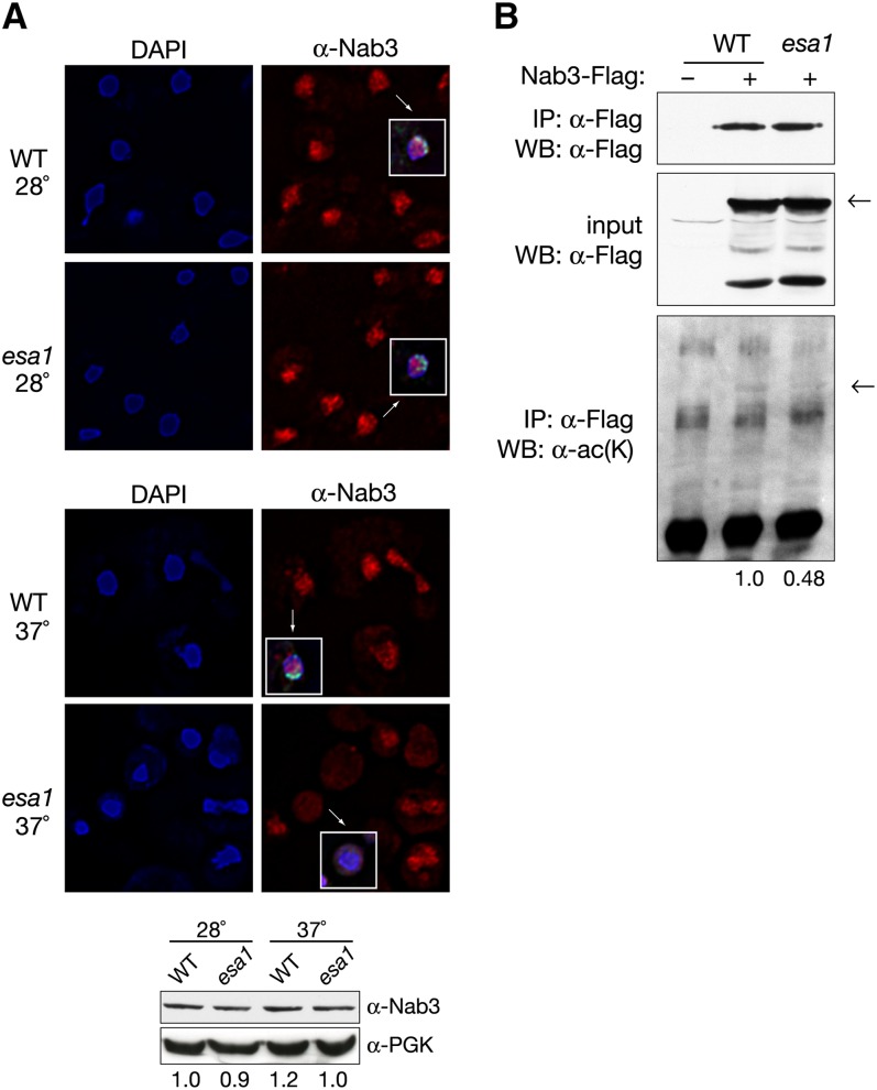 Figure 6 