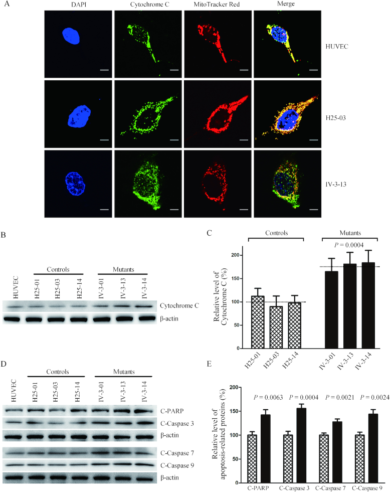 Figure 10.