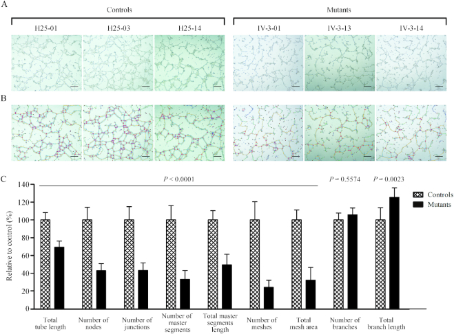 Figure 12.