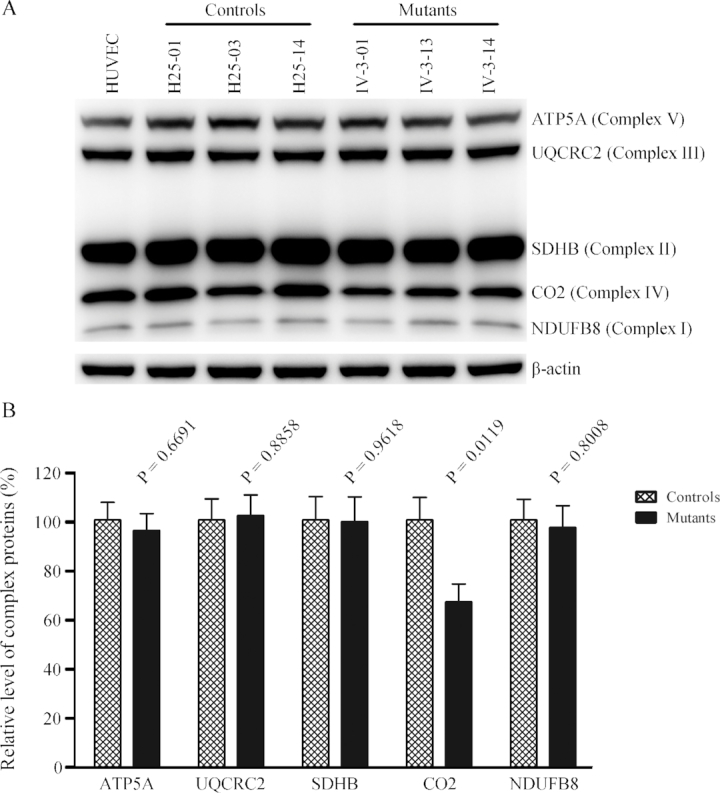 Figure 6.