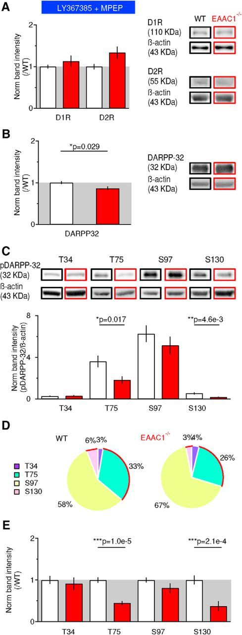 Figure 10.