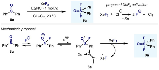 Scheme 6