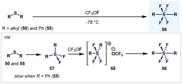 Scheme 14