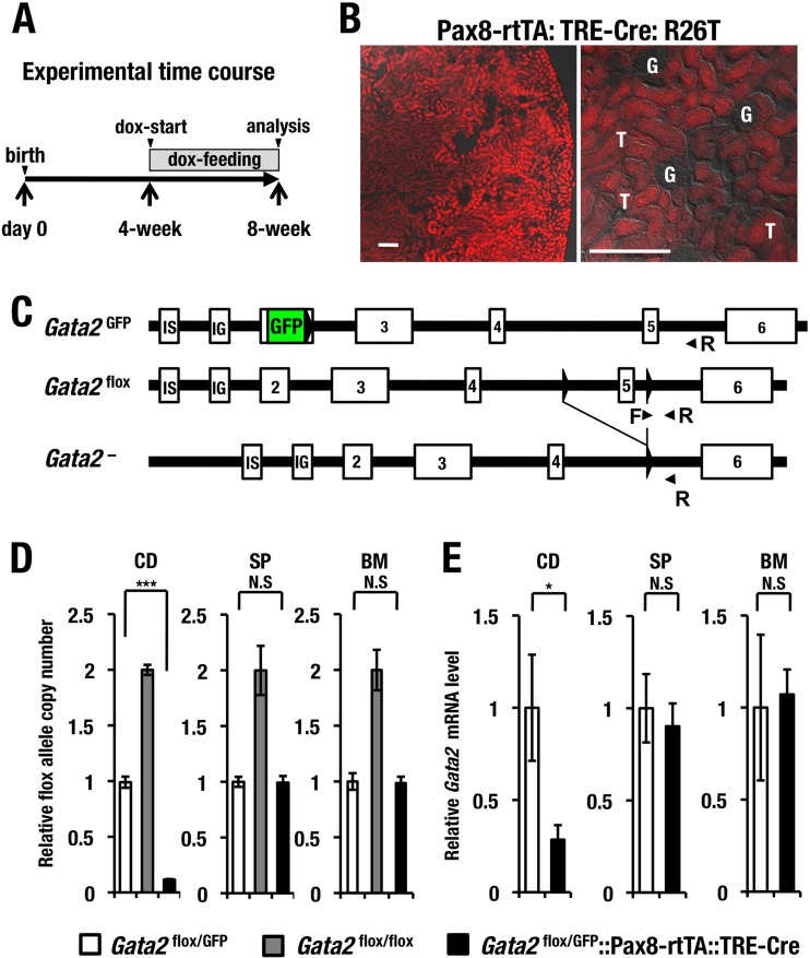 FIG 3