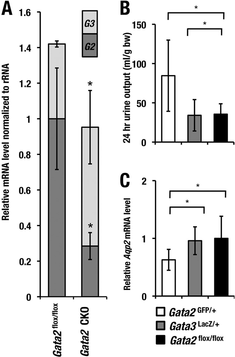 FIG 8